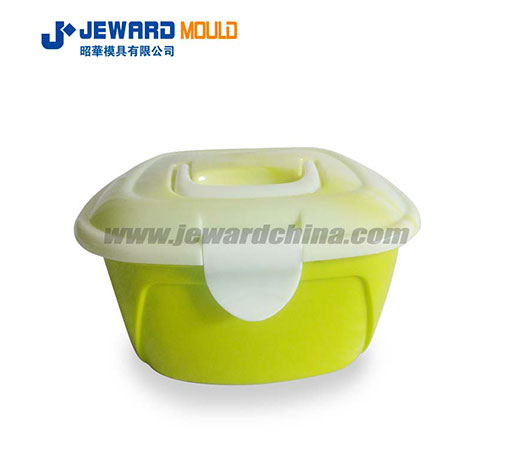 Injection Moulding Mold